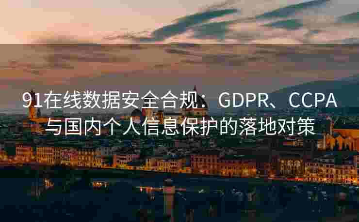 91在线数据安全合规：GDPR、CCPA与国内个人信息保护的落地对策
